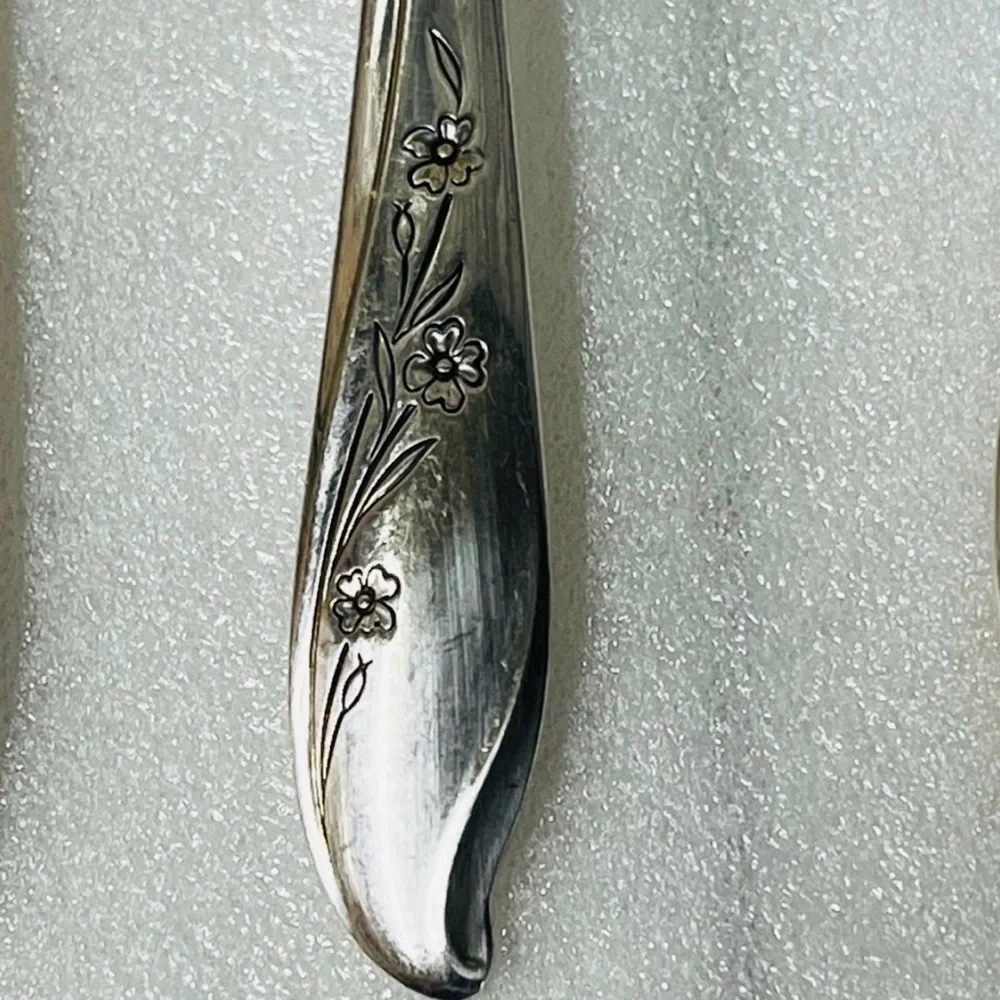 1847 Roger’s Bros. Silver-plated 5 Piece Silverware Place Setting Springtime